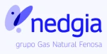 logo nedgia blue